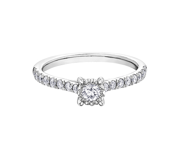 BAGUE EN OR BLANC SERTIE DE DIAMANTS - CR DD7686 - BIJOUX CANADIEN BAGUE EN OR BLANC SERTIE DE DIAMANTS - CR DD7686 - BIJOUX CANADIEN