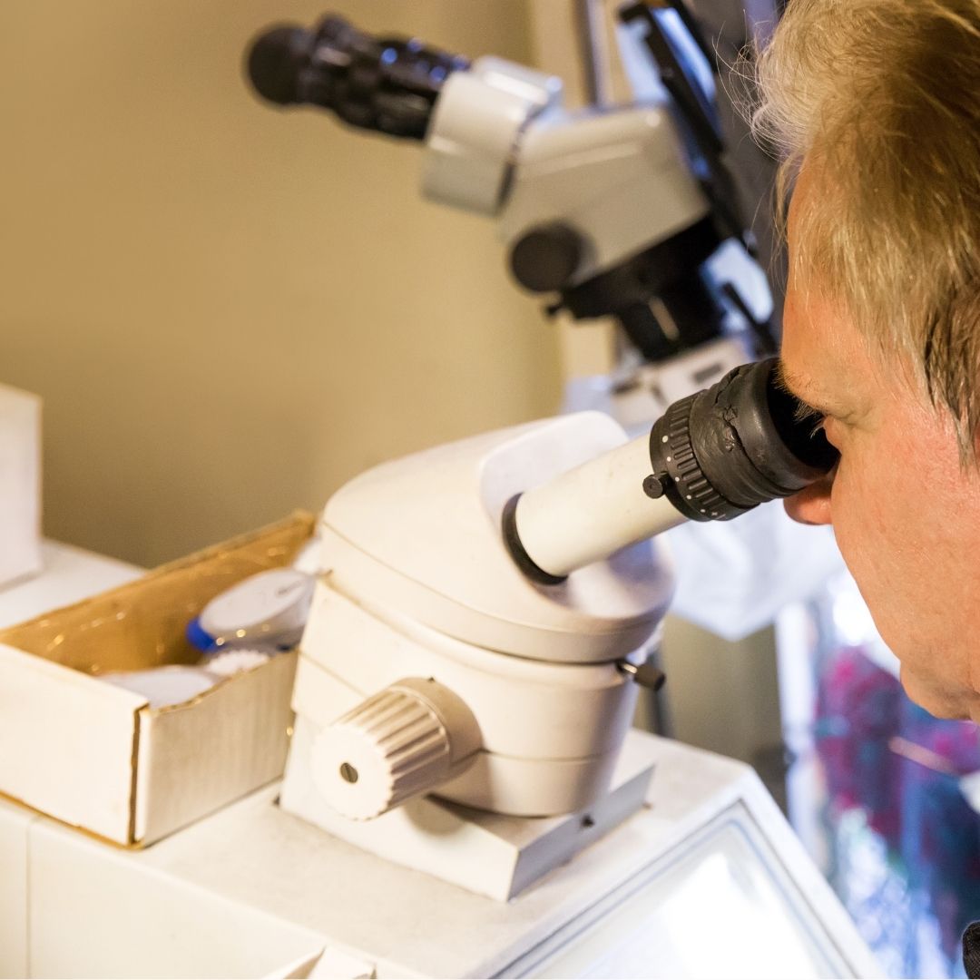 Bijouterie Suisse - Bijoutier depuis 80 ans Bijouterie Suisse - Bijoutier depuis 80 ans