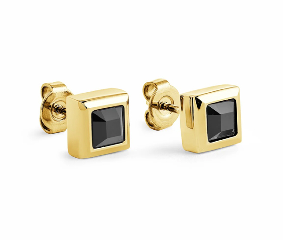 BOUCLES EN ACIER/PVD OR SERTIES DE CUBIQUES ZIRCONIAS NOIRS CARRÉS - IG SEA211 - ITALGEM BOUCLES EN ACIER/PVD OR SERTIES DE CUBIQUES ZIRCONIAS NOIRS CARRÉS - IG SEA211 - ITALGEM