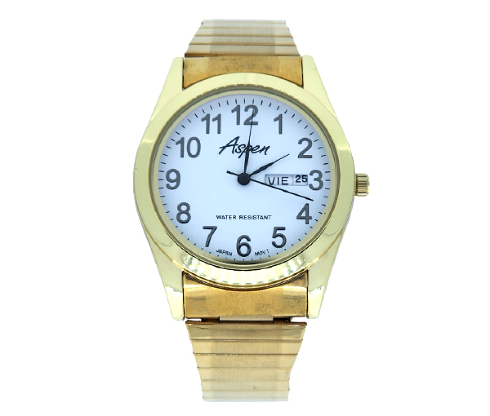 MONTRE POUR HOMME ASPEN EN ACIER/PVD OR - BA AP3031 - ASPEN MONTRE POUR HOMME ASPEN EN ACIER/PVD OR - BA AP3031 - ASPEN