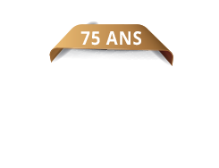 Guide d'achat des pierres précieuses - Blogue  Bijouterie Suisse -  Bijoutier depuis 75 ansBijouterie Suisse - Bijoutier depuis 75 ans