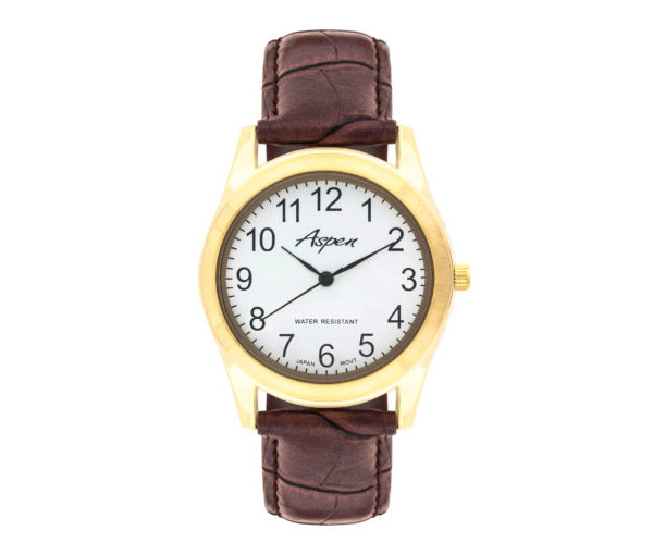 MONTRE POUR HOMME ASPEN EN ACIER/PVD OR - BA AP3011BR - ASPEN