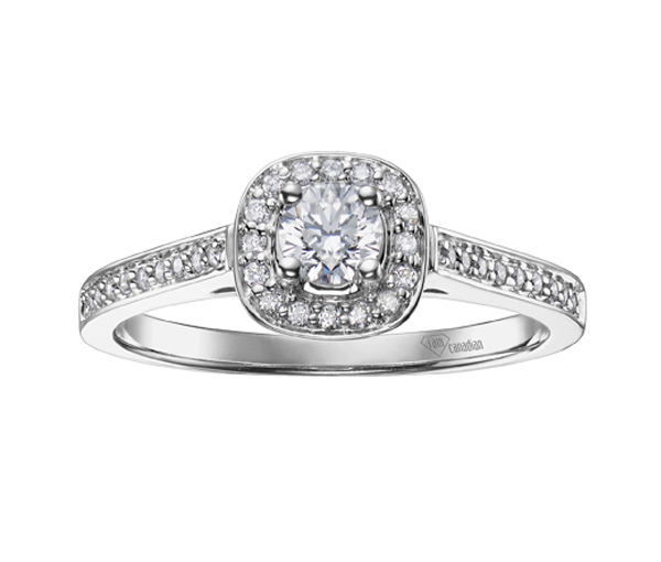 BAGUE EN OR 10K BLANC SERTIE D'UN DIAMANT CANADIEN ET DE DIAMANTS - CR AM191W35 - DIAMANT CANADIEN