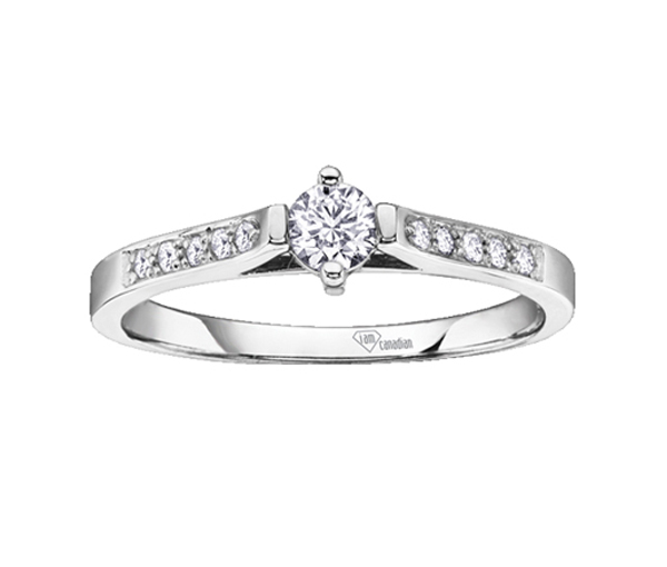 BAGUE EN OR BLANC SERTIE D'UN DIAMANT CANADIEN ET DE DIAMANTS - CR AM142 - DIAMANT CANADIEN